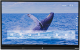 StarBoard TE-YL5 3840 x 2160 pixels Interactive Display  Chert Nigeria